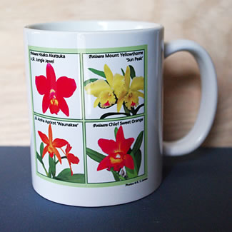 mug DS-082 cat qt 6594.jpg